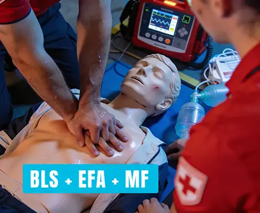 BLS + EFA + MF