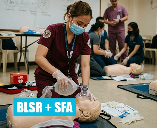 BLS - R + SFA